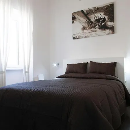 Magenta Navona Design-2